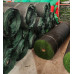Artificial Carpet Grass